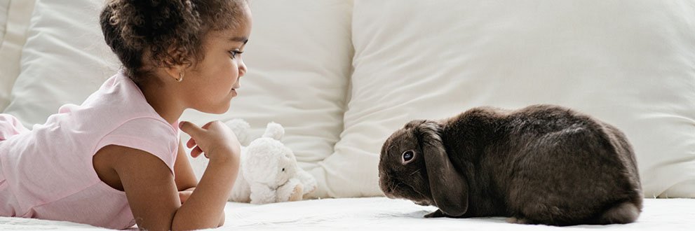 Compassionate Goodbyes - girl and her bunny