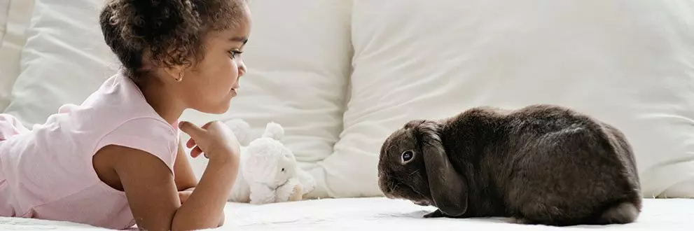 Girl with bunny